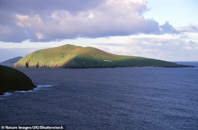 Được biết, James, một kiến trúc sư làm việc tại London, gặp vợ mình vào năm 2021 tại Burren, một vùng đất hoang dã ở Co Clare. Ảnh: NI/Shutterstock.