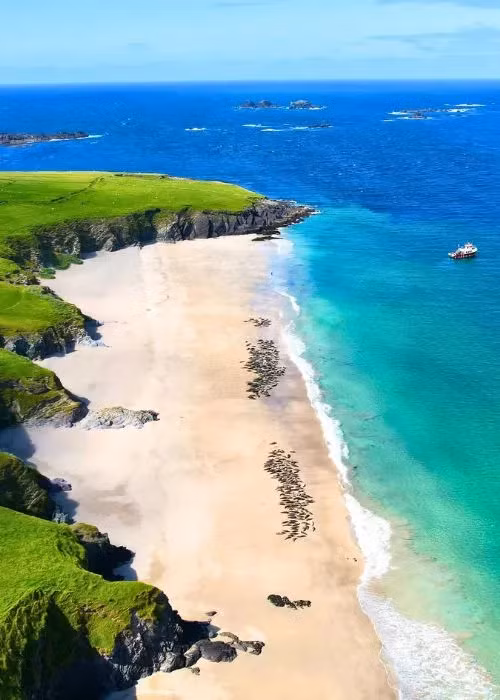 Du khách chỉ có thể đến hòn đảo bằng thuyền. Trên đảo không có ô tô. Họ phải lấy nước từ suối và đun sôi, điện dùng cho điện thoại và đèn pin được tạo ra từ một tuabin gió nhỏ. Ảnh: Instagram.