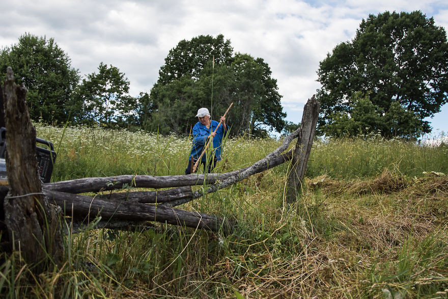 Vào mùa hè, Lyuska thường bận rộn hơn mùa đông. Bà phải cắt cỏ, nhổ cỏ dại, chất đống cỏ khô rồi bán lấy tiền mua sữa dê.