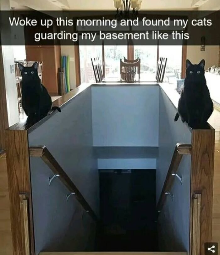 "Nhân viên bảo vệ" của "thế giới ngầm" ở Ai Cập.