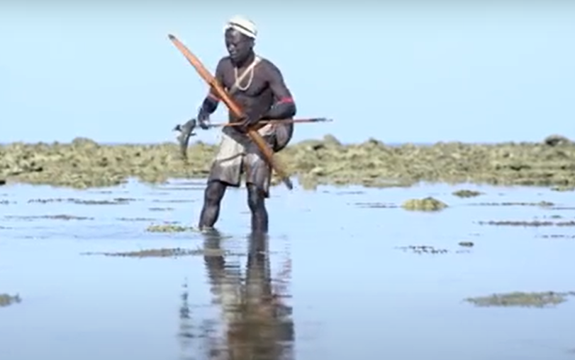 Su that gay soc ve bo toc song biet lap 55.000 nam-Hinh-7