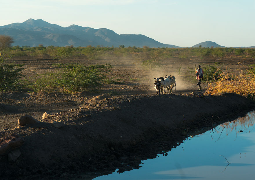 Đường ống chạy qua sa mạc để vận chuyển nước từ sông Awash đến các cánh đồng.