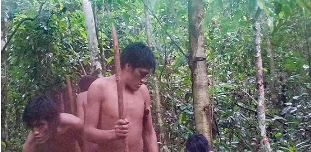 Họ sống biệt lập trong rừng rậm ở Rondônia, Brazil.