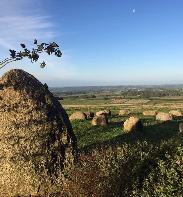 Đỉnh núi cao nhất của Đan Mạch là Yding Skovhøj, chỉ cao 173 mét so với mực nước biển. Ảnh: X.