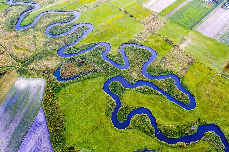 Sông Wieprz uốn khúc quanh co.