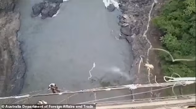 Cô đã phải vật lộn để nổi trên mặt nước khi dòng nước cuốn trôi cô về phía hạ lưu. Mặc dù bị thương nghiêm trọng, Erin vẫn may mắn thoát khỏi hàm răng đáng sợ của những kẻ săn mồi ẩn núp dưới nước và sống sót.