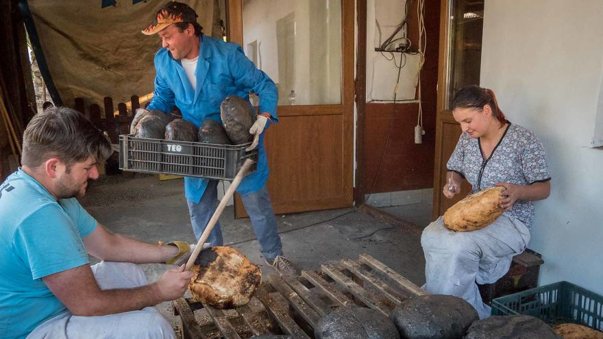 Những bức ảnh được trang Bored Panda đăng tải nhiều năm trước phần nào hé lộ cuộc sống của người dân ở vùng nông thôn Romania. Trong ảnh: Mọi người cùng nhau nướng bánh mì. (Nguồn ảnh: BP)