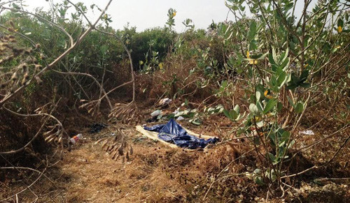 Người đàn ông chết bí ẩn trong bụi rậm ở TP HCM Nguòi dàn ong chét bí ản trong bụi rạm ỏ TP HCM