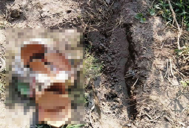 Su that ve tin don me tre chon song con sau sinh o Hoa Binh