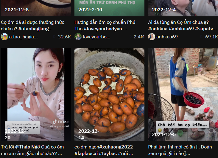 Qủa cọ ỏm được các TikToker tìm tòi, khám phá và thưởng thức, cho ra hàng loạt clip hot trên các nền tảng mạng xã hội.