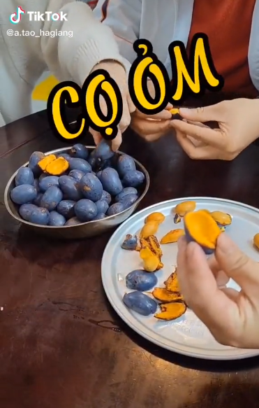Món ăn tuổi thơ một thời được thực hiện đa dạng bằng clip TikTok, khi người người thi nhau tìm mua, ăn thử và check in với quả cọ khiến dân mạng càng phải săn lùng thứ quả dân dã này.