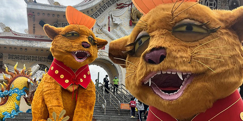 Khác với những lời khen trước kia, mọi người không biết nên dùng từ ngữ gì để nhận xét về linh vật năm Quý Mão này.