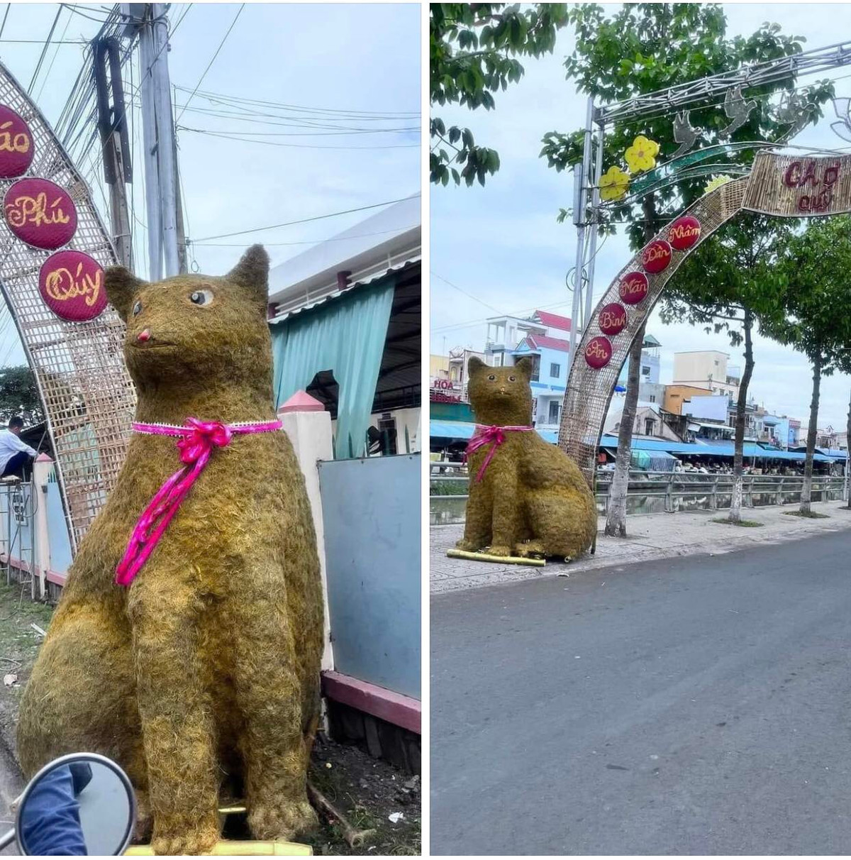 Bức tượng linh vật năm Qúy Mão ở Tiền Giang được đặt ngay ngắn trên vỉa hè, tuy nhiên ngoại hình của nó mới là điểm thu hút sự chú ý. Ảnh: Lost Bird