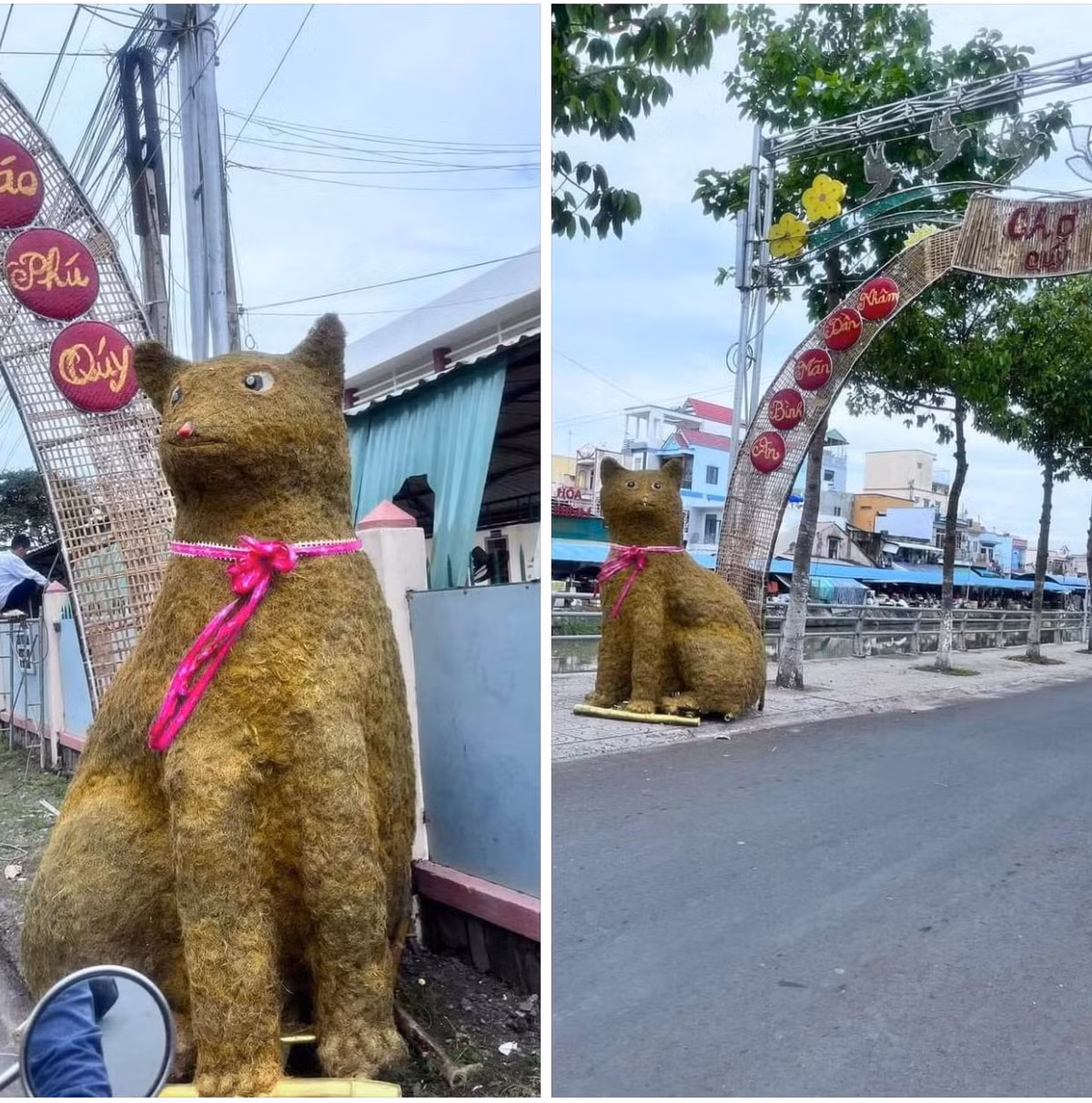 Bức tượng linh vật năm Qúy Mão ở Tiền Giang được đặt ngay ngắn trên vỉa hè, tuy nhiên ngoại hình của nó mới là điểm thu hút sự chú ý. Ảnh: Lost Bird