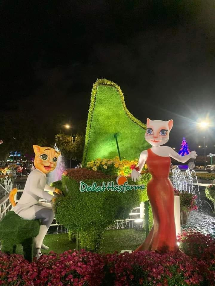 Mèo Đà Lạt với ngoại hình quý tộc cũng được nhiều người khen ngợi.