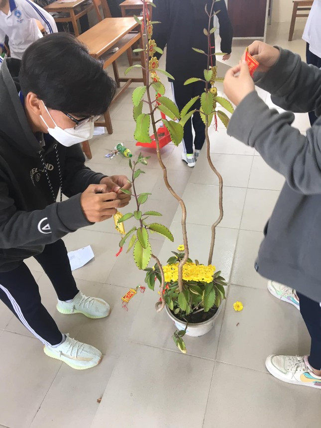 Thời điểm này, đào, mai chưa nở rộ nhưng học trò thừa sáng tạo để "phù phép" cho những chậu cây "nở" kín hoa.