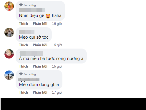 Không ít netizen nhận xét cặp tượng mèo được trang trí, sáng tạo không khác gì bá tước và công nương của giới quý tộc nhà mèo.