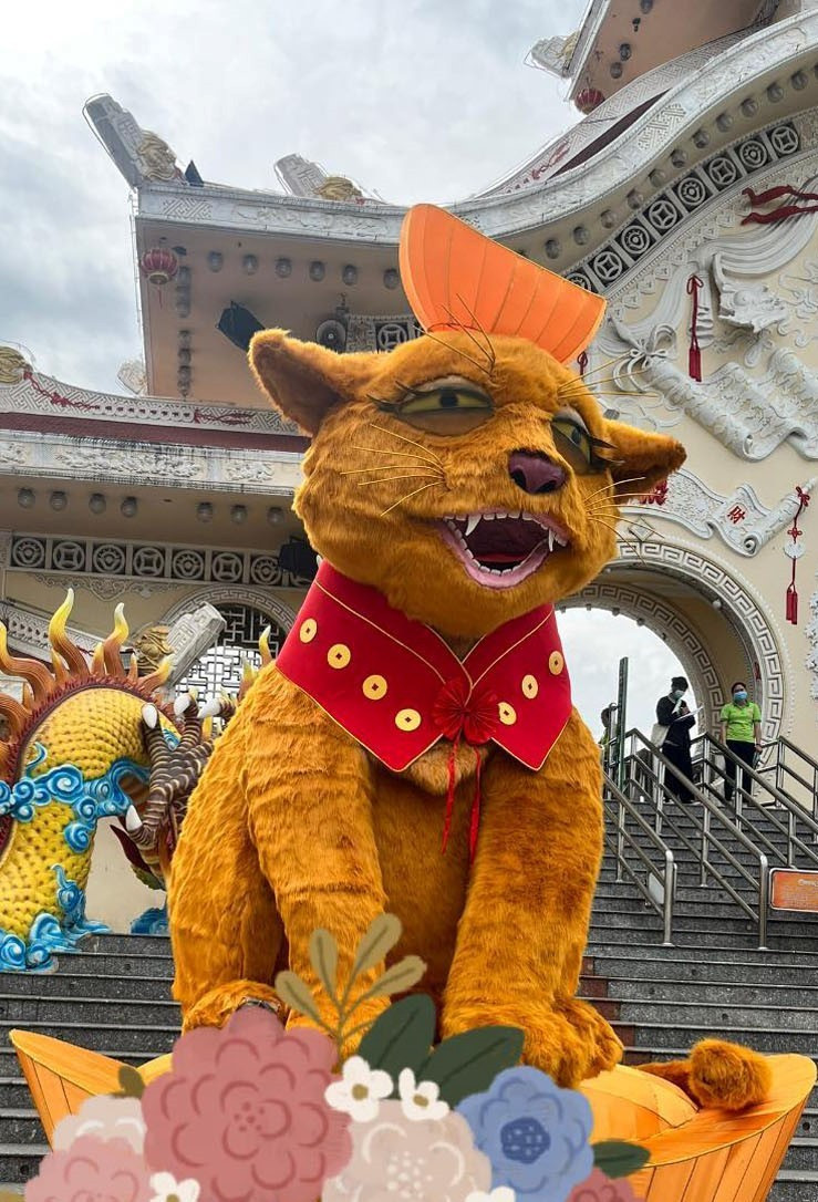 Mèo Suối Tiên, TP.HCM với gương mặt ngái ngủ. Ảnh: Facebook Y.P