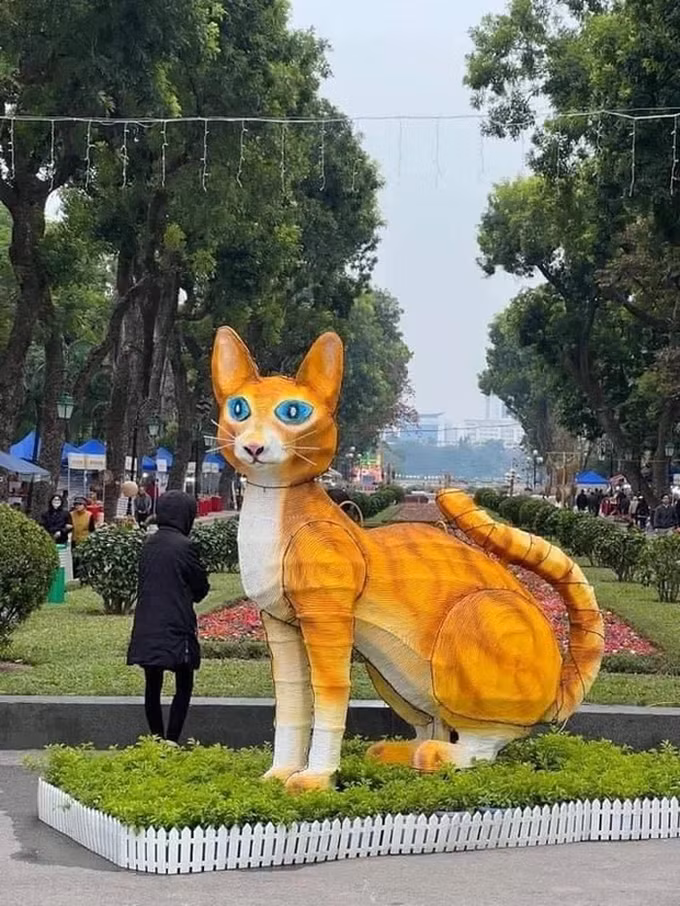 Mèo Hà Nội được nhiều người mong đợi và kỳ vọng nhưng khi xuất hiện lại khiến người xem bật cười vì ngoại hình có phần hơi hốc hác. Ảnh: Zing News