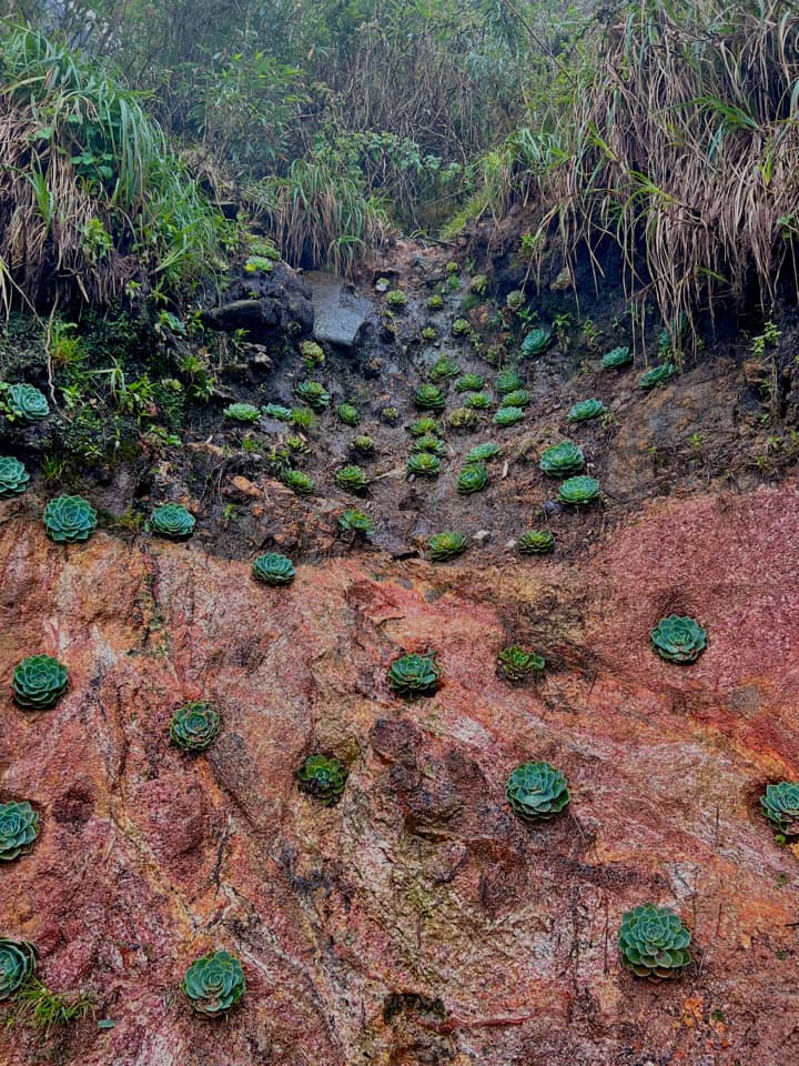 Ảnh: Lê Thị Ánh Dương