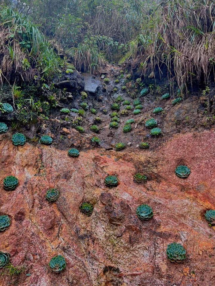 Ảnh: Lê Thị Ánh Dương