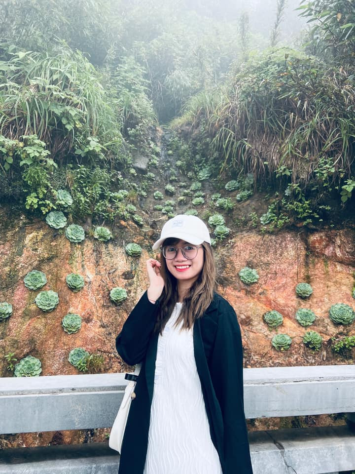 Phía dưới bình luận cư dân mạng đua nhau khoe khoảnh khắc check in cùng hoa sen đá tại Fansipan. Ảnh: Manh Nguyen Van