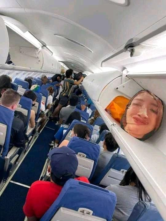 Bộ ảnh du lịch độc đáo này sau khi chia sẻ lên MXH đã khiến cư dân mạng không khỏi bật cười.