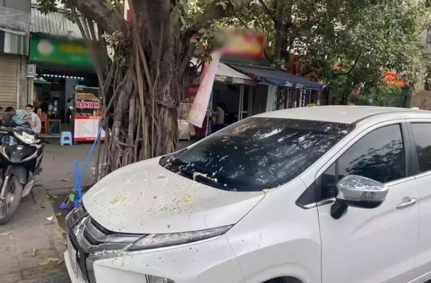 Đỗ chắn cửa hàng người khác, chiếc xe được "ăn" nguyên bát phở. Ảnh: Tổng hợp