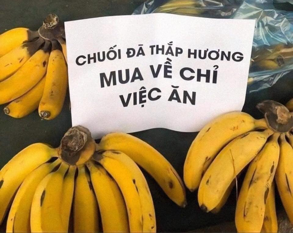 Tận dụng sự đa dạng và phong phú về ngôn ngữ Tiếng Việt, các ông chủ bà chủ nghĩ ra đủ chiêu trò chơi chữ trên biển hiệu để thu hút sự quan tâm của người đi đường và khách hàng, làm mọi người không thể không chú ý.