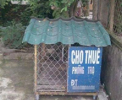 Tấm bảng cho thuê phòng trọ nhưng lại đặt ở chuồng chó, không hiểu chủ nhân của nó đang nghĩ gì.