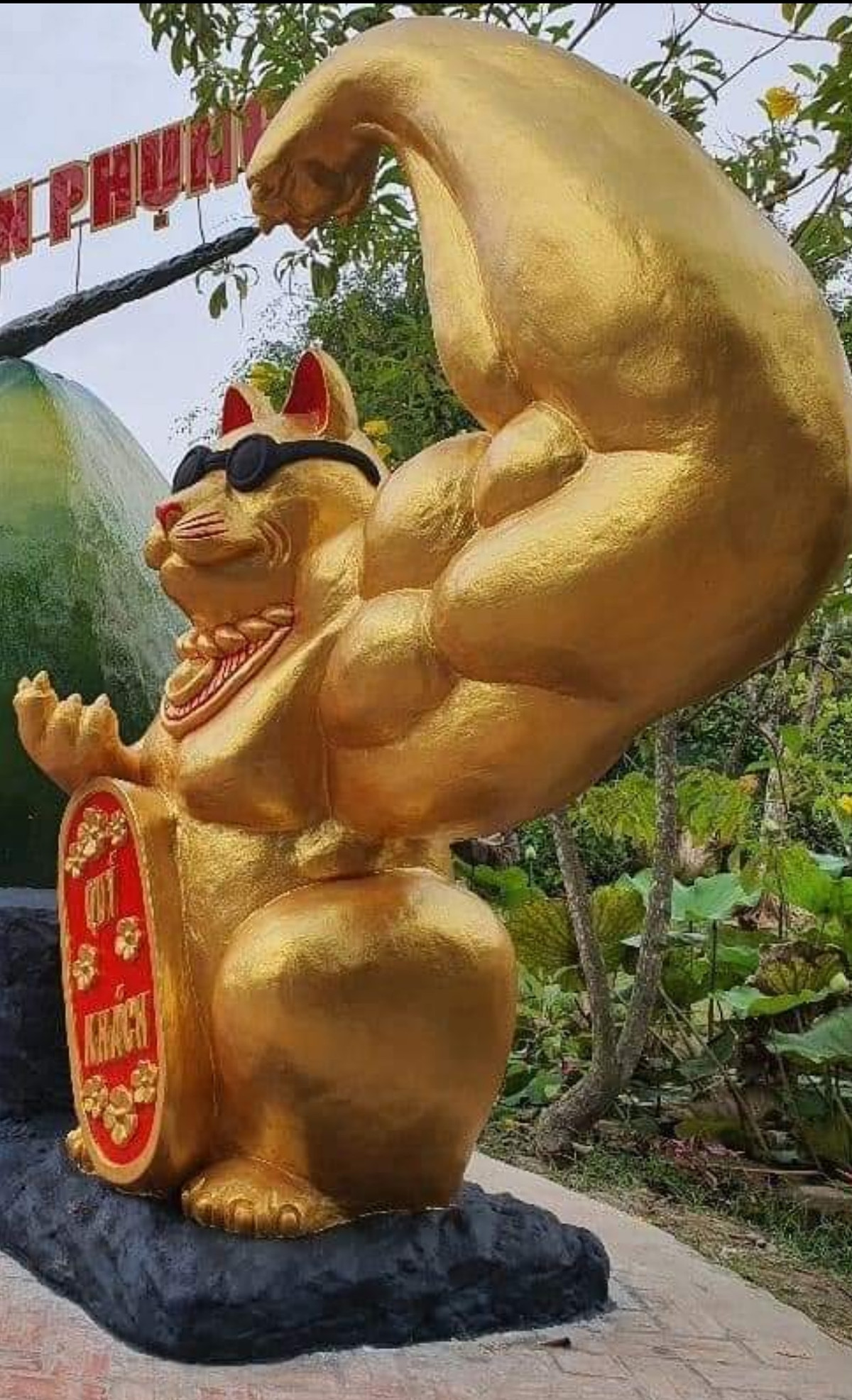 "Mèo này chắc vặt dừa nhiều tay to thế", "Mèo này rất chất chơi, đã cơ bắp cuồn cuộn lại có quả kính mô đen quá", "Mèo này đi thi thể hình được".... là những bình luận hài hước của cư dân mạng. Ảnh: Kun Mon