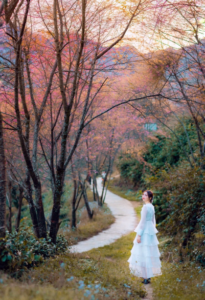 Đi giữa rừng hoa đào Sapa, được hít hà thật lâu hương đào ngan ngát cùng cơn gió lạnh thổi qua người du khách đã tận hưởng được cả không khí mùa đông và mùa xuân đang hòa quyện trong thời khắc chuyển giao.