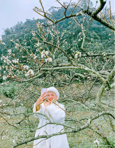 Hoa mận Mộc Châu không phải mọc lác đác từng nơi mà sẽ trải rộng trên những sườn đồi, kéo từ thung lũng này đến thung lũng kia khiến cả một vùng trời trở nên sáng rực. Ảnh: Hồ Thiên Nga