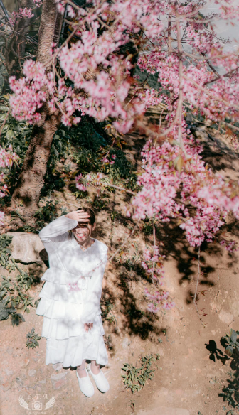 Khi đi trên các tuyến phố, du khách cũng có thể dễ dàng bắt gặp những hàng cây hoa mai anh đào toả sắc. Nếu muốn chắc ăn hơn thì du khách có thể vào khu trung tâm thành phố ở đường Lê Đại Hành, khu hồ Tuyền Lâm, Cầu Đất,...Ảnh: Ngoc Anh Dao