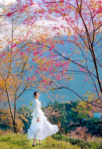 Không chỉ có Đà Lạt, nhiều bạn trẻ miền Bắc cũng chỉ chờ đến mùa này để lên Sapa ngắm tuyết rơi và săn hoa đào rừng.