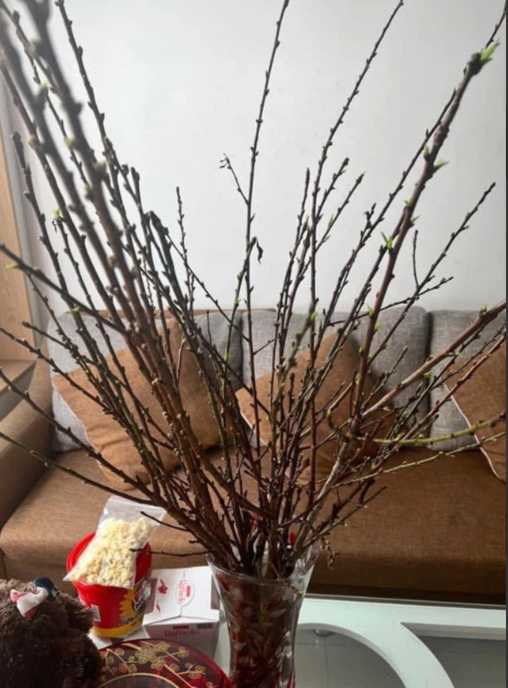 Quả thật không sai khi gọi các chị em mua tuyết mai về cắm là những người chơi hoa hệ củi.