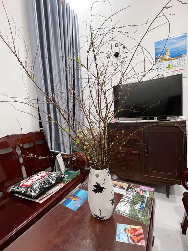 Chị em “khóc thét” vì bỏ ra mấy trăm nghìn thì ra chỉ để trưng “củi khô” trong nhà mấy ngày Tết.