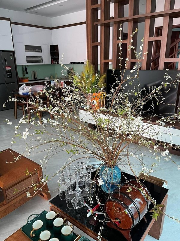 Nhìn bên ngoài, cành tuyết mai khoác lên mình một vẻ đẹp rất đỗi tinh khôi và dịu dàng bởi những cánh hoa màu trắng, lá xanh li ti cũng thân cành mảnh mai.