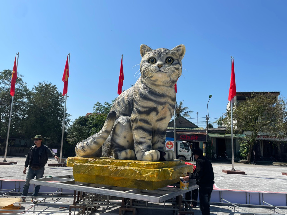 Khi linh vật mèo xuất hiện ở quảng trường trung tâm huyện Triệu Phong và trên không gian mạng thì nhận được "cơn mưa" lời khen như: "Hoa hậu mèo", "linh vật mèo đẹp nhất", "linh vật mèo đẹp và rẻ nhất"...