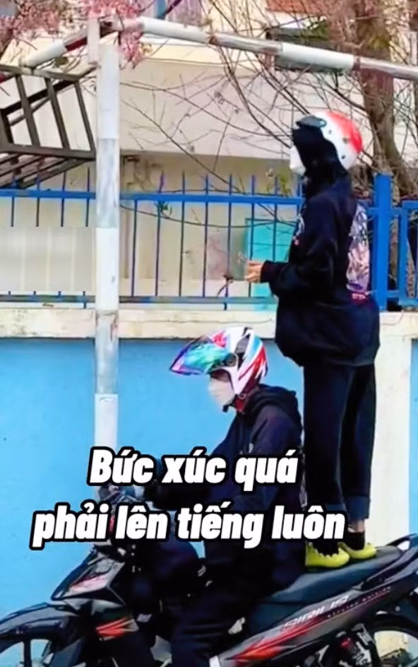 Nhóm thanh niên này không chỉ bẻ cây mà còn cố tình bỏ qua lời nhắc nhở của người dân xung quanh. Dù người đàn ông quay clip đã khản cổ nói "đừng hái hoa bạn ơi", nhóm bạn trẻ vẫn chẳng bận tâm tới, cố gắng lựa cành đẹp cho mình.