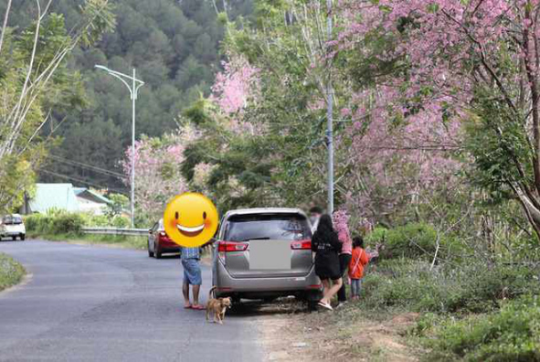 Câu chuyện về ý thức giữ gìn cảnh quan chung một lần nữa được cư dân mạng thổi bùng tranh cãi khi MXH xuất hiện nhiều trường hợp tương tự.