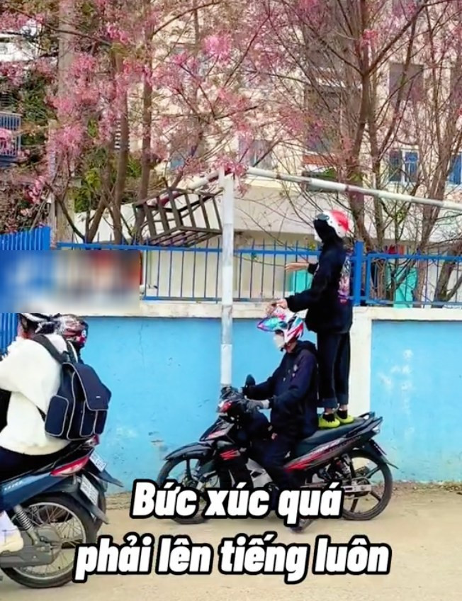 Tuy nhiên mới đây trên MXH xuất hiện đoạn clip TikTok ghi lại cảnh một nhóm thanh niên ngang nhiên bẻ cành mai anh đào Đà Lạt mặc người xung quanh nhắc nhở, netizen vô cùng bức xúc.