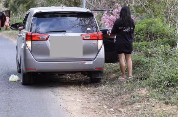 Hình ảnh một gia đình dừng đỗ xe bên đường và ngang nhiên bẻ cành, hái hoa mai anh đào khiến cư dân mạng bức xúc.