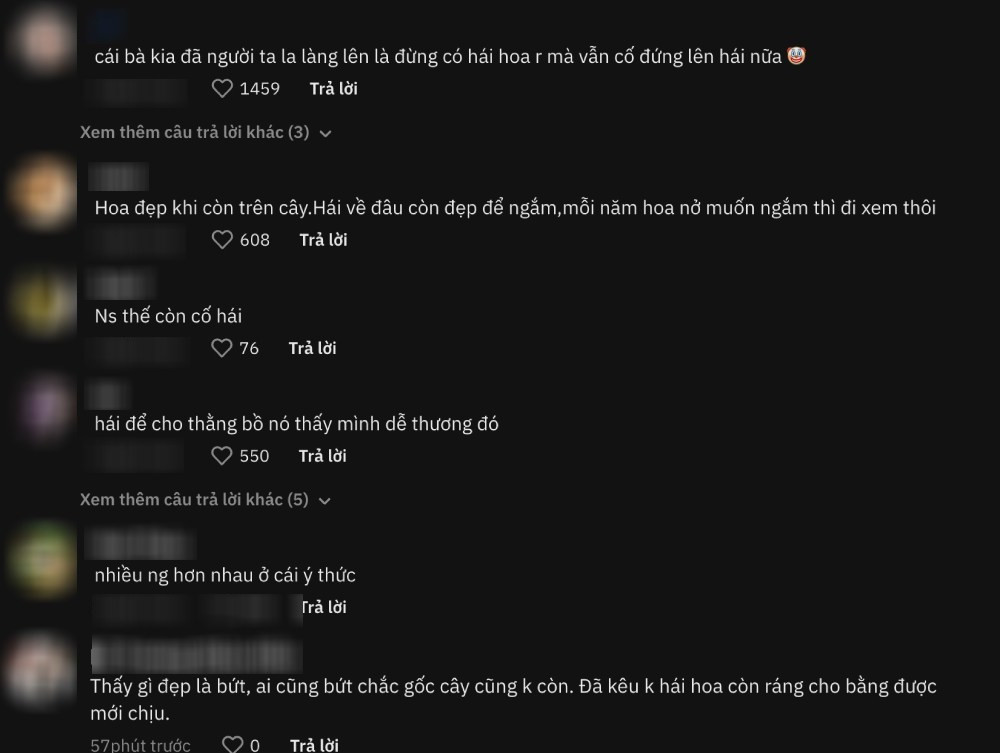 Hầu hết mọi người đều rất bức xúc với hành động vô ý thức của nhóm bạn trẻ đi phượt: "Mắc gì bẻ cây vậy trời, mang về cũng đâu có để lâu được đâu", "Muốn có kỉ niệm thì chụp hình chứ sao lại bẻ vậy. Nhìn tay bạn gái là đủ thấy bẻ cũng không ít đâu",...