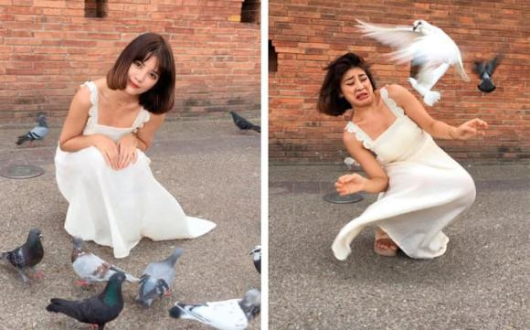 Sự thật đằng sau bức ảnh chụp với chim bồ câu là biểu cảm sợ hãi trước đó.