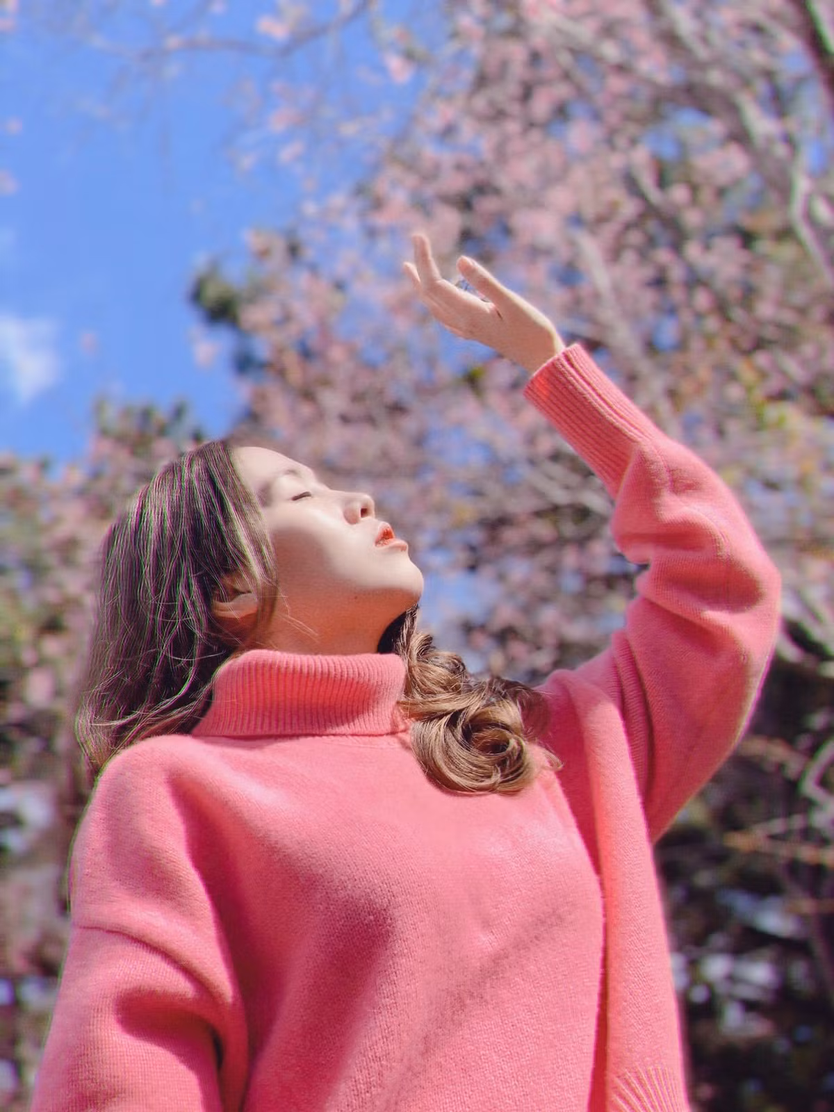 Thời điểm này mặc dù vào những ngày giáp Tết nhưng du khách đến check-in mai anh đào Đà Lạt nườm nượp. Ảnh: Đinh Ngọc Diệp