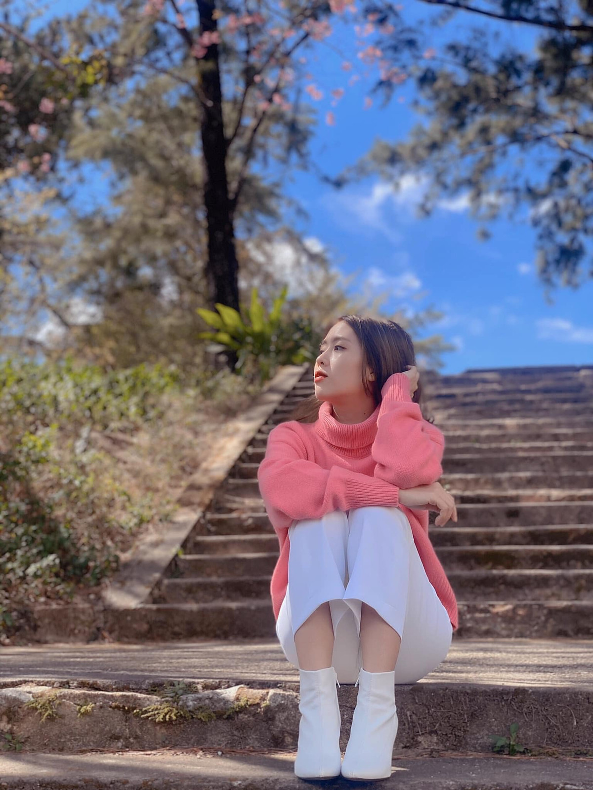 Thời điểm này du lịch Đà Lạt du khách sẽ được chiêm ngưỡng sắc hoa mai anh đào ở khắp mọi cung đường, hoa nở nhuộm hồng cả một con đường, cả một góc trời. Ảnh: Đinh Ngọc Diệp