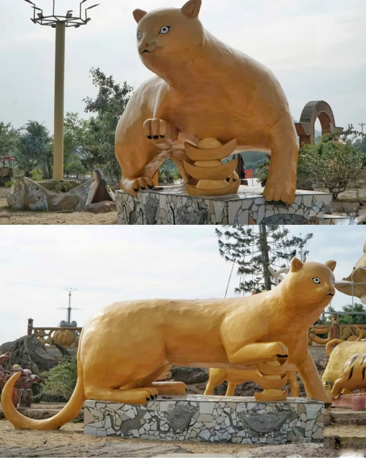 Phiên bản mèo tại Thanh Hoá với làn da căng bóng cũng khiến dân mạng "cười ra nước mắt".