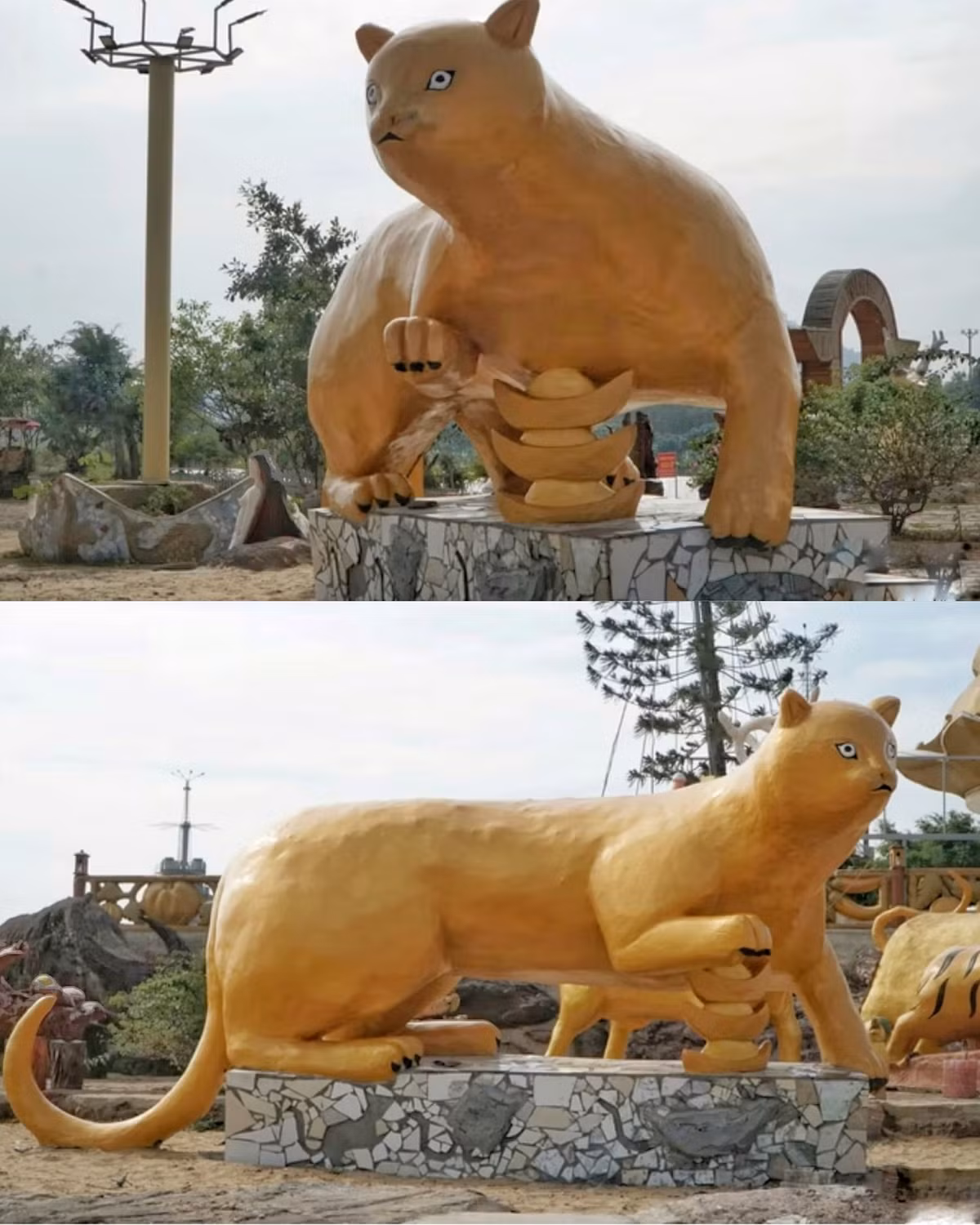 Phiên bản mèo tại Thanh Hoá với làn da căng bóng cũng khiến dân mạng "cười ra nước mắt".