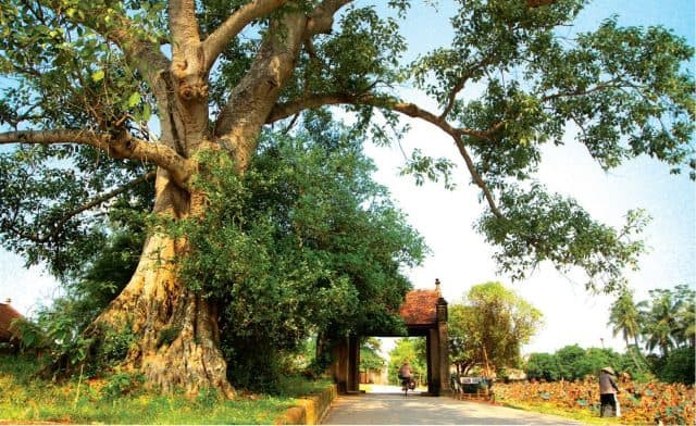 Cổng làng cổ Đường Lâm - Mông Phụ được cho là cổng làng cổ duy nhất còn nguyên vẹn ở miền Bắc Việt Nam. Cổng được xây dựng vào năm 1833 với kiến trúc vòm và lớp đá ong tổ. Do cổng quay hướng Đông Nam nên vào hè, giữa cái nóng bức, không gian của cổng như một chiếc quạt khổng lồ làm vơi đi nỗi mệt nhọc, cho người dân sau buổi lao động miệt mài với đồng ruộng.